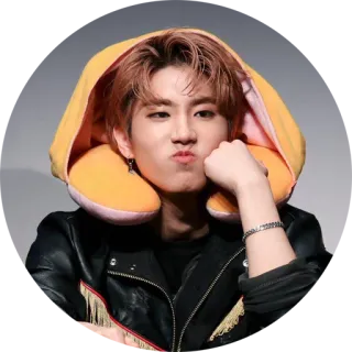 @jonafzan STRAY KIDS whatsapp stickers