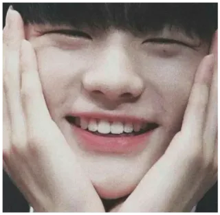 😁 e5d6dc35 lächeln, asiatisch, fröhlich, gesicht, porträt telegram sticker