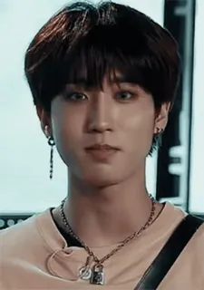 😌 1072dde8 人物, 男人, 肖像, 珠宝, 项链, 脸, 耳环 telegram sticker