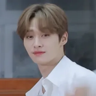 😵 0674486a orang, pria, potret, wajah, foto wajah, korea, asia telegram sticker