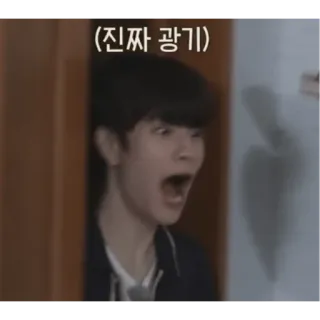 😨 0d468896 진짜 광기 Meme, Lustig, Schockiert, Schrei, Koreanisch telegram sticker