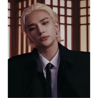 Skz-ки telegram stickers