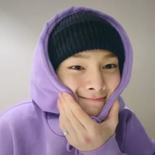 Stray Kids telegram stickers