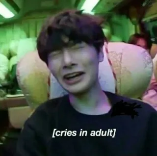 Stray Kids whatsapp stickers