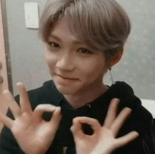 Stray Kids telegram stickers