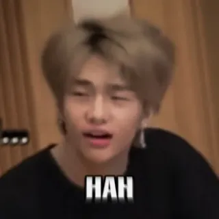 💰 1fb267b4 HAH Meme, Reazione, Divertente, Espressione, Kpop, Hyunjin telegram sticker