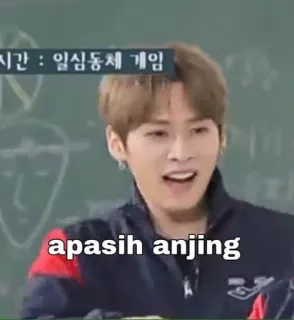 💰 479e6fcd apasih anjing Meme, Divertente, Offensivo, Kpop, Asiatico telegram sticker