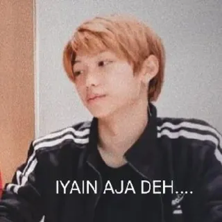 💰 6b8e2479 IYAIN AJA DEH.... Meme, Kpop, Stray Kids, Felix telegram sticker