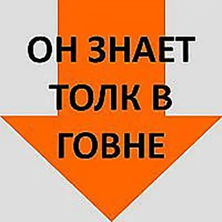 👌 68b0ddd3 ОН ЗНАЕТ ТОЛК В ГОВНЕ russisch, beleidigend, beschimpfend, pfeil telegram sticker
