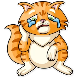 😿 39d1cc67 cat, sad, crying, tears, animal, cartoon, orange telegram sticker