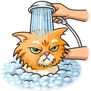 🚿 f80608d6 cat, bath, shower, bubbles, pet, animal, clean, feline telegram sticker
