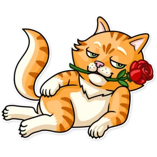 🌹 c1ecc5f2 gatto, rosa, animale, sticker, cartone animato, gatto soriano arancione telegram sticker