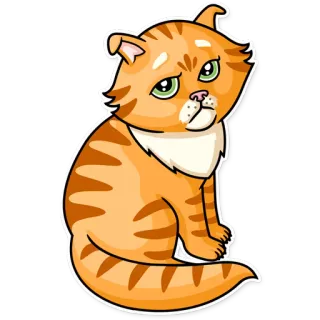 😟 ef381c38 gatto, animale, arancione, carino, adesivo, cartone animato, animale domestico, felino telegram sticker