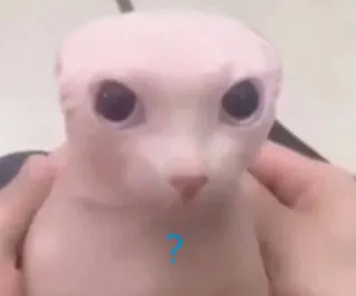 strozzati di @fobica telegram stickers