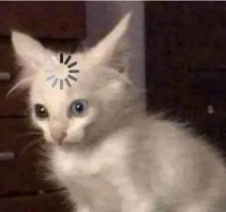 🫶 c0d5b40a 猫, 加载中, 处理中, 动物, 互联网, 梗 telegram sticker