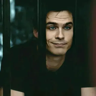 🕳 dbc9ab64 Damon Salvatore The Vampire Diaries vampire, supernatural, tv series, smirk, blue eyes, actor, portrait whatsapp sticker