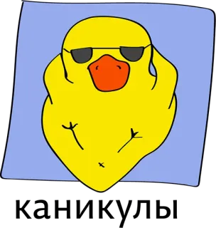 😍 3edf3a24 anatra, cartone animato, occhiali da sole, tranquillo, figo, rilassato, carino telegram sticker