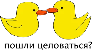 🙈 52e41939 anatra, giallo, carino, animale, uccello, cartone animato telegram sticker