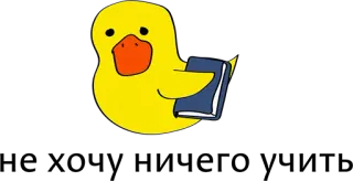 🙈 f39369d0 anatra, libro, lettura, animale, cartone animato, carino telegram sticker