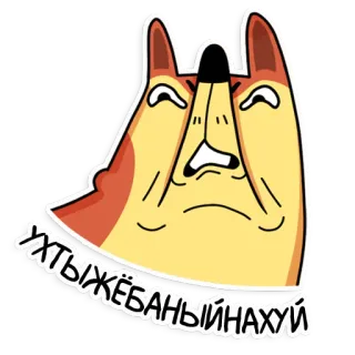 🤬 054f497d УХТЫЖЁБАНЫЙНАХУЙ cane, offensivo, maledizione, parolacce, russo whatsapp sticker