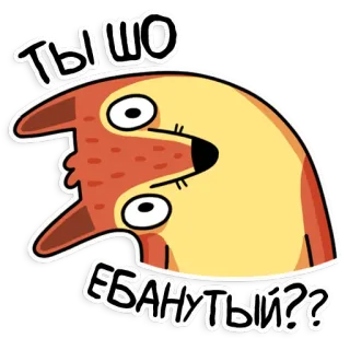 😠 2d8436e3 ТЫ ШО ЕБАНУТЫЙ?? volpe, cartone animato, linguaggio offensivo, russo, animale whatsapp sticker