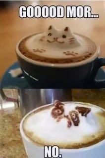 😩 fe4301b8 GOOOOOD MOR...
NO. 咖啡, 猫, 熊, 拉花, 早上, 幽默, 可爱 telegram sticker