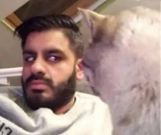 🤔 1f44fe59 người đàn ông, mèo, selfie, thú cưng, râu telegram sticker