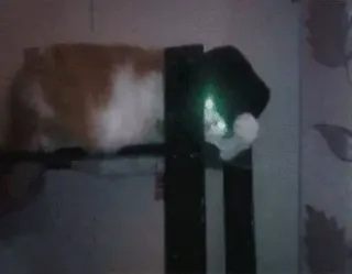 😎 70006efd telegram sticker