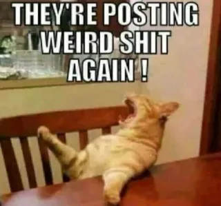 😡 9ba00c79 THEY'RE POSTING WEIRD SHIT AGAIN ! mèo, meme, hài hước, xúc phạm, động vật, internet telegram sticker