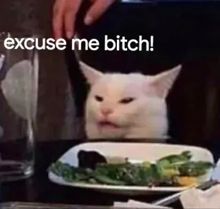 😒 db4d7b58 excuse me bitch! mèo, meme, hài hước, xin lỗi đĩ telegram sticker