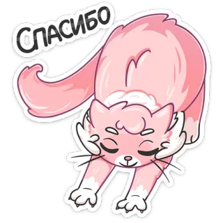 😌 17d4094a СПАСИБО cat, cute, thank you, kitten, pink, cartoon, animal telegram sticker