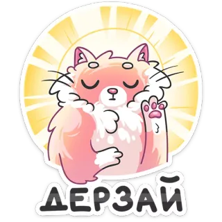 😤 a9a2eb3f ДЕРЗАЙ cat, cute, sticker, russian, дерзай, animal, kawaii telegram sticker