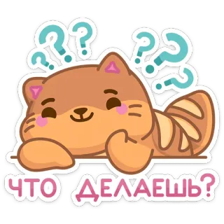 🙃 ff55fbd1 ЧТО ДЕЛАЕШЬ? kucing, pertanyaan, rusia, lucu, hewan, stiker whatsapp sticker