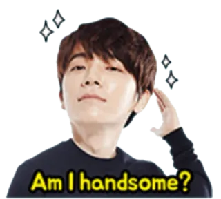 😎 d6ffb02f Am I handsome? przystojny, mężczyzna, pytanie, piękno, iskra telegram sticker