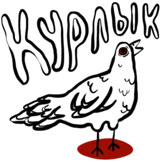 🐦 5f735a21 журлык 鸟, 鸽子, 白色, 黑色, 西里尔文 telegram sticker