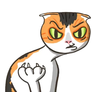 ❓ 54feac27 kucing, marah, sikap, hewan, stiker, kucing kartun whatsapp sticker