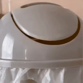 🦜 25d27717 telegram sticker