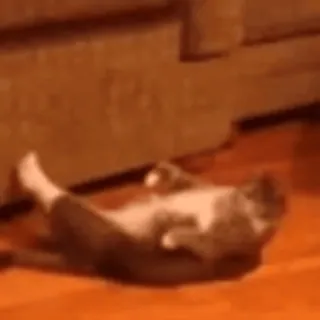 Sukrumotion @sukruma telegram stickers