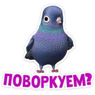 🐦 00938f88 ПОВОРКУЕМ? นกพิราบ, นก, การ์ตูน, น่ารัก, สัตว์, ข้อความ, รัสเซีย telegram sticker