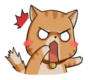 😦 5b5fae66 kot, zły, zdenerwowany, wyraz, pomarańczowy, kotek, zwierzę, naklejka telegram sticker