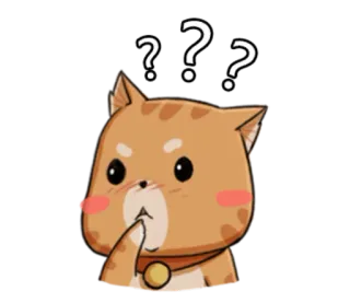 ❓ bbbab970 kot, pytanie, myślenie, zmieszany, wątpliwość, wyraz, zwierzę telegram sticker