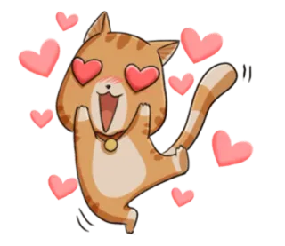 😍 c33d188f kot, serca, miłość, słodki, szczęśliwy, oczy, zwierzę telegram sticker