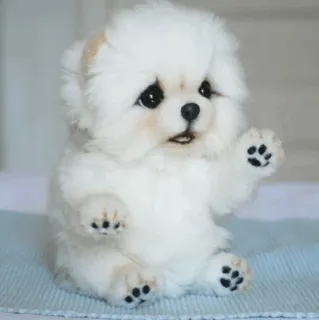 UwU Cute Dogs @SungJinWooX (@TheSungJinWooX) telegram stickers