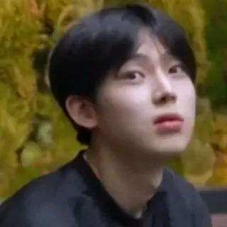 😞 b86020e7 telegram sticker