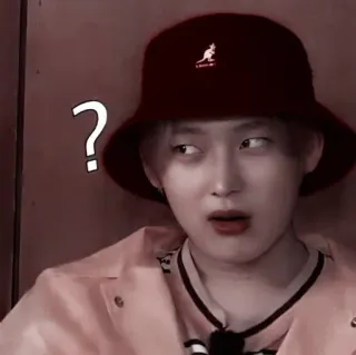 🌸 256c60c2 ? signo de interrogación, persona, sombrero de pescador, retrato, interrogando, confundido whatsapp sticker