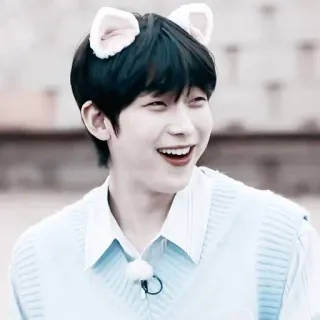 🌸 3cd1026b persona, sonrisa, orejas de gato, lindo, retrato, feliz whatsapp sticker