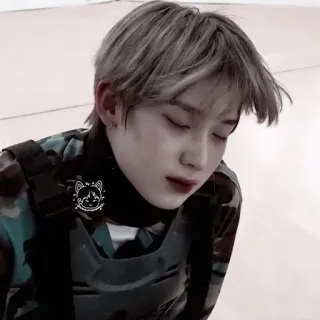 🌸 3f684cce whatsapp sticker