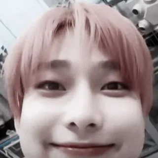 🌸 4bc6298e whatsapp sticker