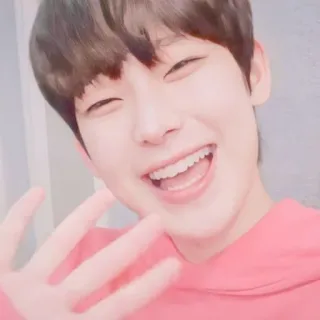 🥟 00a5df9e telegram sticker