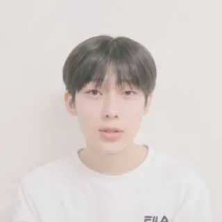 🥟 3c3442f3 telegram sticker